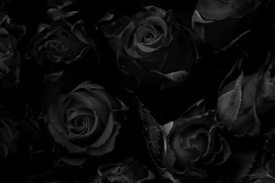 Free People Models Off Duty   Free People Blog