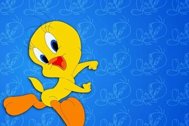 Tweety Bird Backgrounds 1