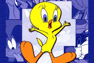 Free Tweety Bird Wallpapers   Wallpapers Cave