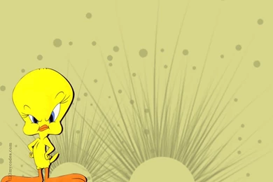TWEETY Photos   Wallpapers.(ανανεωμένο)