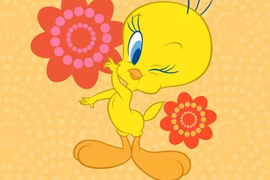 Tweety Wallpapers Free   Wallpapers Cave