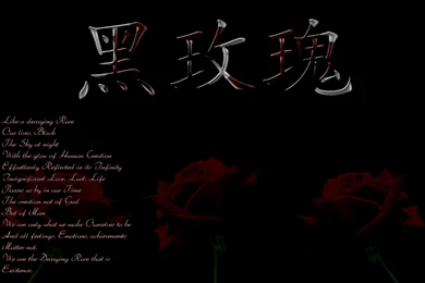 Black Rose By STTyleZ On DeviantArt