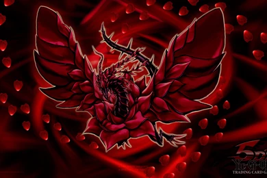 Black Rose Dragon Wallpapers   Wallpapers Cave