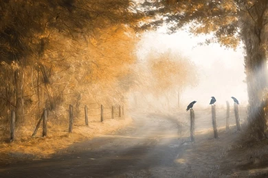 Wallpapers Art Artistic Painting Painters 9   1920 X 1080   Famous ...