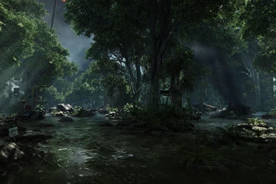 Crysis 3 (2013) >> HD Wallpaper, Get It Now!