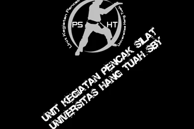 Kaos Pencak Silat   Belakang By TheXIVdesigns On DeviantArt