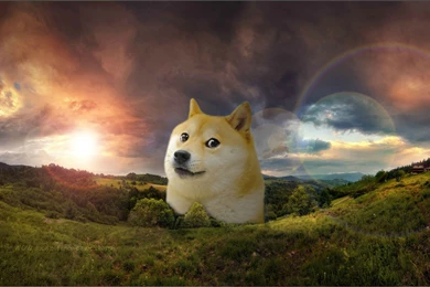 Customer Came In With This Wallpapers   Imgur