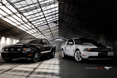 2014 Ford Mustang Wallpapers   Image