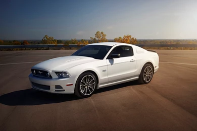 2014 Ford Mustang   Static   5   1680x1050   Wallpapers