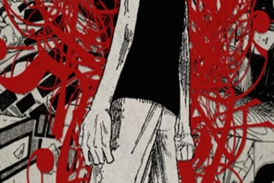 One Piece Iphone Wallpapers   640x1136   292848