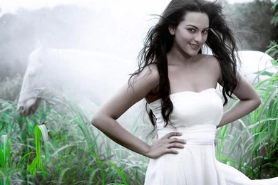 Sonakshi Sinha Hot Latest Hd Wallpapers