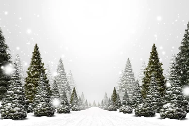 Winter Christmas HD Backgrounds 3719   HD Wallpapers Site