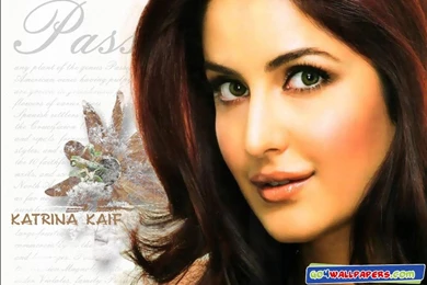 Bollywood Actress Wallpapers   Wallpapers HD Wide