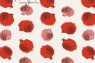 Tory Burch Hedgehog Wallpapers