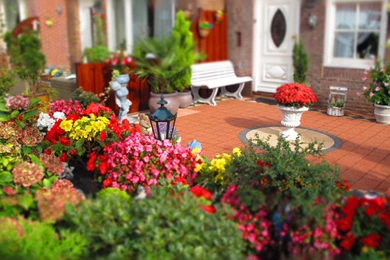 Garden Full Of Flowers Ultra Hd Wallpapers   Ultra High Definition ...