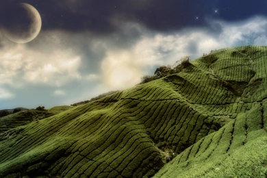 Download The Textured Green Hills Wallpaper, Textured Green Hills ...