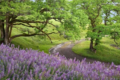 Hills Wallpapers 13298