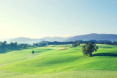 Green Hills Wallpapers