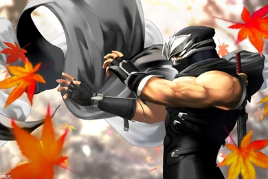 Dead Or Alive: Dimensions   Wallpapers   Dead Or Alive Wallpapers ...