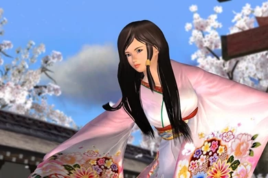 Dead Or Alive 4 Desktop Wallpapers