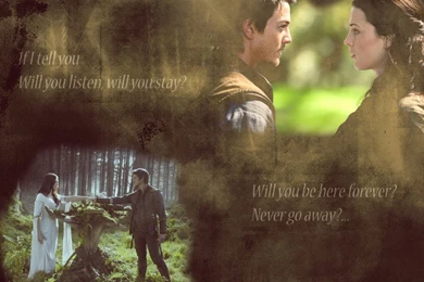 Richard And Kahlan   Legend Of The Seeker Wallpapers (3219657)   Fanpop