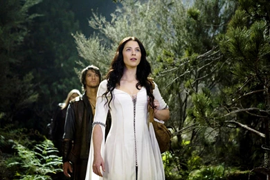 LEGEND OF THE SEEKER Adventure Drama Fantasy (51) Wallpapers ...