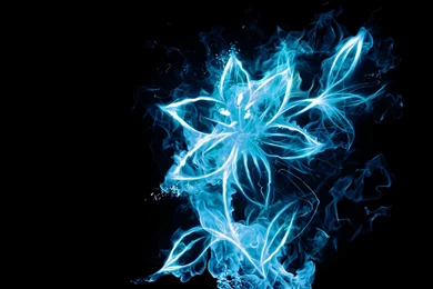 1920x1440 blue fire flower wallpapers By Nekokiseki On DeviantArt