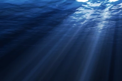 Wallpapers Plain Wincustomize Explore Logonstudio Underwater Hd ...