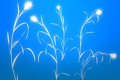 Plain Abstract Backgrounds Wallpapers Hd Wallpapers Free Download ...