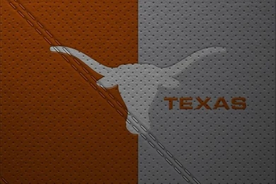 UT Texas Longhorns! Hook'em!