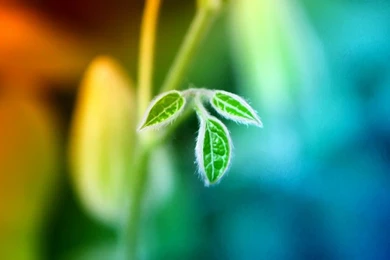 FunnyDAM   Funny Images, Pictures, Photos, Pics, GIFs And Funny