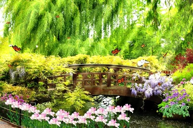 Bring The Beauty Of Nature With Animated Nature Wallpapers ...