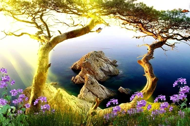 Animated Nature Wallpapers Beautiful Landscape Photos Of Bring The ...