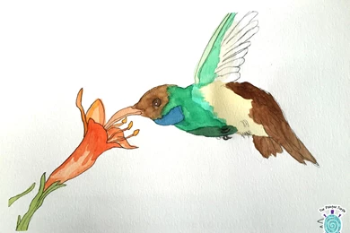 The Painted Turtle Art Studio: Classes For Kids And Adults In ...