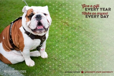 Mississippi State University Development And Alumni   Wallpapers