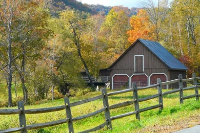 Bluray Wallpaper: February 2011