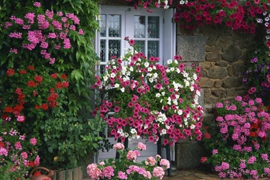 Gardens Wallpaper: Garden Summer Wallpapers 1920x1080 Garden Summer ...