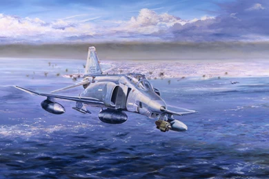 F 4 Fighter Jet Bomber Phantom Airplane Plane Military (75 ...