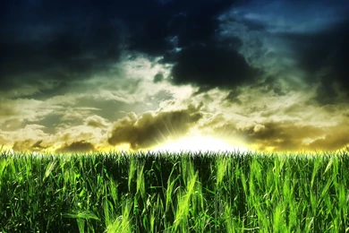 High Definition Nature Wallpapers   Wallpapers Cave