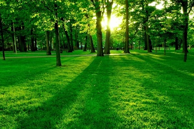 Wallpapers Ufc Hd Widescreen Nature Digital Clarity 1280x960 ...