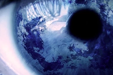 Close Up Eye iPhone 5 Wallpapers