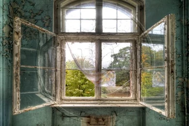 New Backgrounds Archives   BUSY BEE PORTRAITS BUSY BEE PORTRAITS