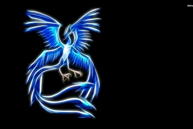 Articuno   Pokemon Wallpapers   Anime Wallpapers