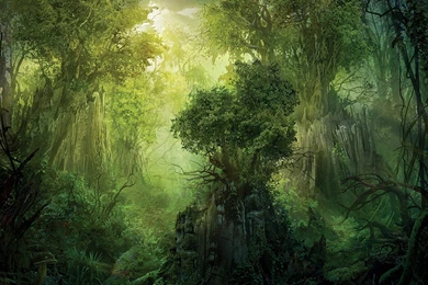 Wallpapers Magic Of World Beautiful Full Hd P Widescreen 1280x1024 ...