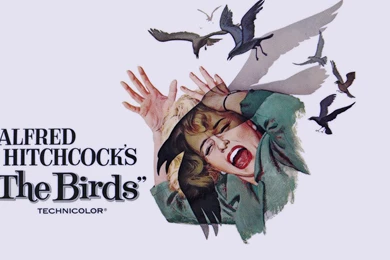 The Birds Movie Poster Wallpapers