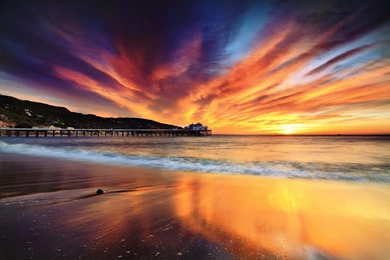 Wings, Malibu Ca By Mizzy Pacheco Desktop Wallpapers