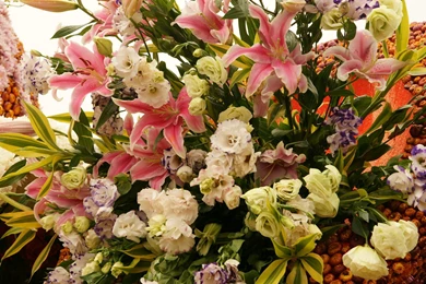 Flowers dsc02201.jpg