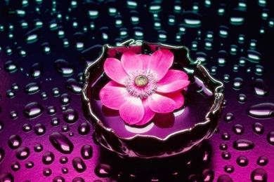 3D Pink Flower Wallpapers HD Wallpapers