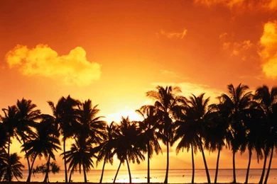 Mountain Waterfall Android Wallpapers 960x800 Hd Wallpaper Images