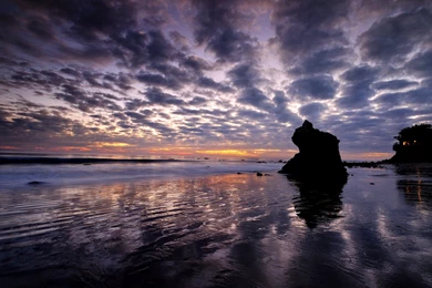 Malibu Beach In Los Angeles Windows 8 Theme